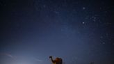 Joshua Tree too crowded? Go truly off the grid in this starry desert just 3 hours from L.A.