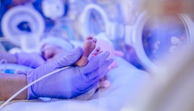 Children's Hospital Los Angeles Forms Nursing Leader Roundtable to Improve Best Practices at Regional Neonatal Intensive Care Units