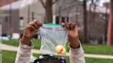 Seek and ye shall find: A weekly list of Easter egg hunts in Cincinnati