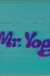 Mr. Yogi