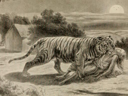 Tras el rastro de la tigresa devoradora de hombres de Champawat, que se comió a 436 personas
