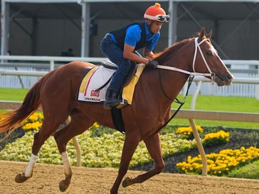 2024 Preakness Stakes horses, futures, odds, date: Expert who hit last year's superfecta releases picks