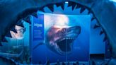 Desde la mandíbula de un megalodón hasta el cerebro de un mini tiburón en la muestra "Tiburones" | El Universal