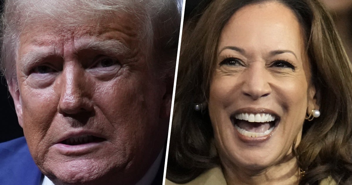 Trump struggling to keep up as Harris backers self-organize to help campaign