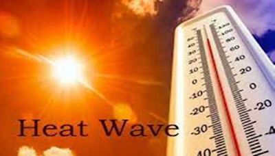 Heatwave over Northwest & Central India to reduce gradually: IMD