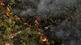 Bomberos combaten incendios en el noreste de Brasil en medio de inusual ola de calor invernal