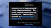 Fake SunPass websites shut down in crackdown of mobile text alert scams