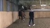 Charlotte Dujardin: Video shows British Olympian whipping horse in training session