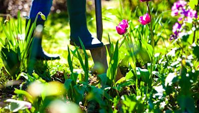 The cheap buy that will revive your garden after the heat & how to apply it