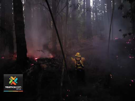 Campamento clandestino causó incendio en Prusia, según SINAC | Teletica