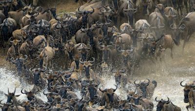 How to plan the perfect Great Migration trip to Kenya’s Masai Mara