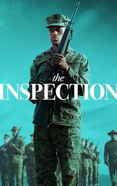 The Inspection