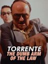 Torrente, el brazo tonto de la ley