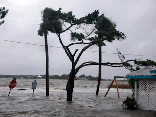 Pluies torrentielles, villes inondées: les images impressionnantes de la tempête Debby en Floride