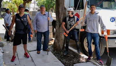 Why a Tree Army is stepping in to protect greenery in Mexico City