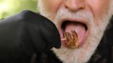 Cicadas à la carte? Here’s why it’s so hard to get Americans to eat bugs