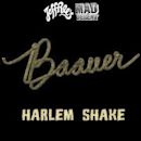 Harlem Shake (song)