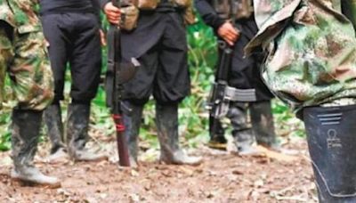 Terror en el Cauca: grupos armados estarían cometiendo atentados con drones en Argelia