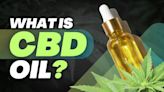 What Is CBD Oil? Uses, Benefits & More