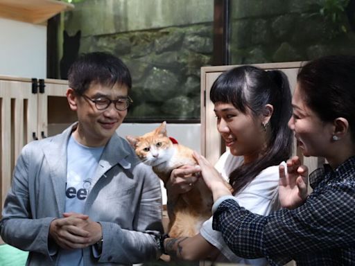 響應530國際抱貓日 動保處： 6月7日前貓公所認養送好禮