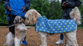 At last, a dog park opens east of D.C.’s Anacostia River