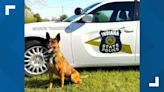 ISP K-9 Daisy to receive body armor donation