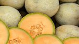 Cantaloupe distributed in TN, at least 9 other states, recalled over possible salmonella contamination