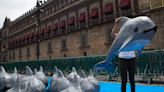 Group bans some trade with Mexico over endangered porpoise