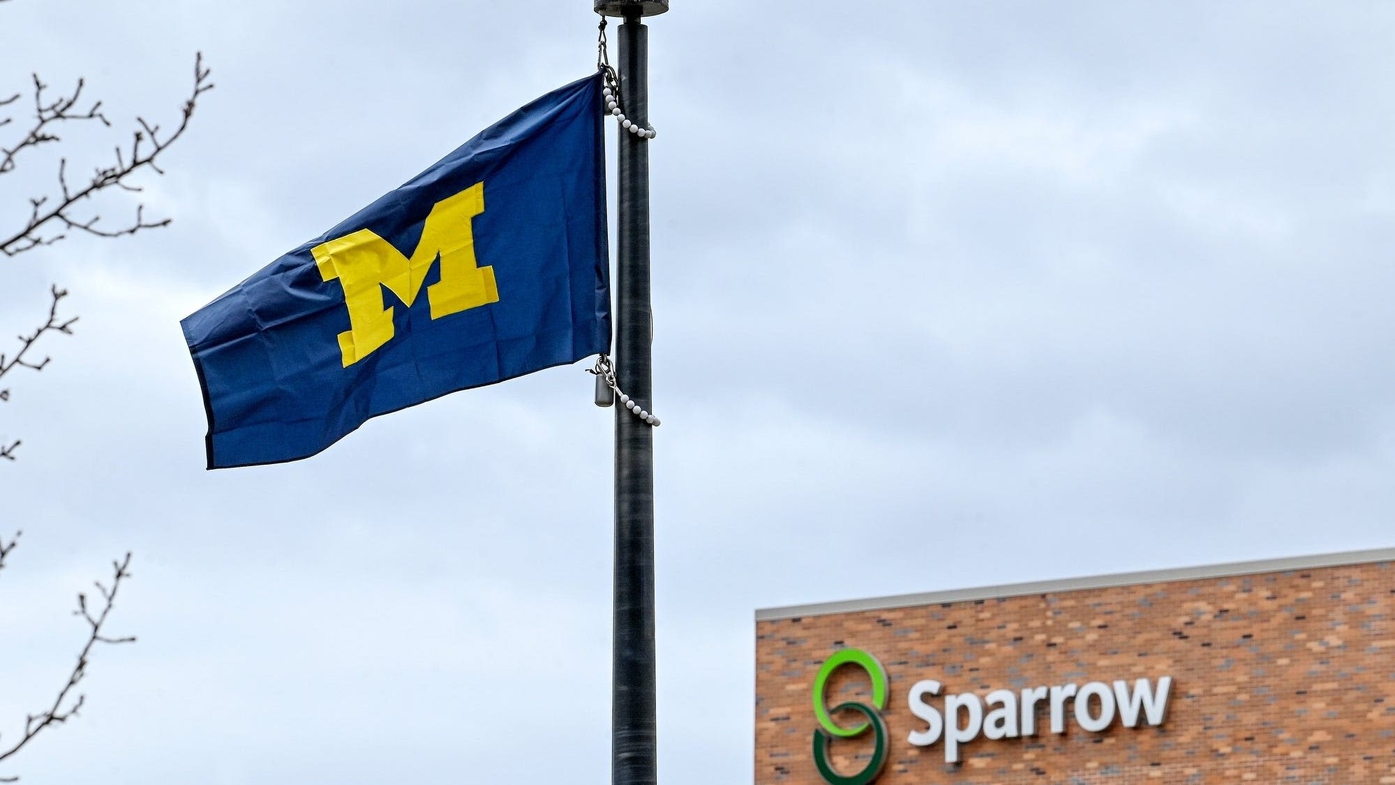 U-M, MSU announce collaboration to form Neuro Care Network in mid-Michigan