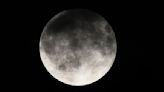 Luna llena de mayo 2024: cuándo es, a qué hora y cómo ver la Luna de flores