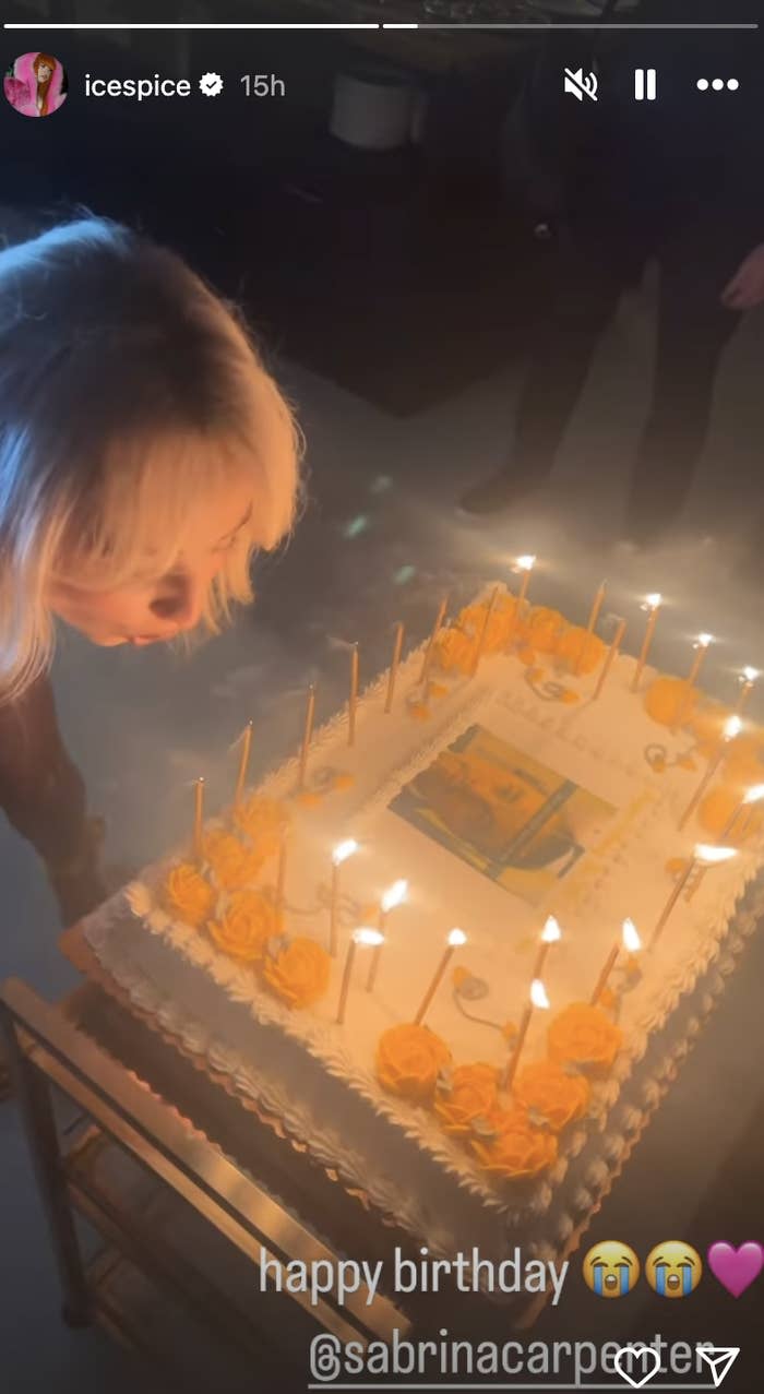 Sabrina Carpenter's 25th Birthday Cake Included A VERY Spicy Leonardo DiCaprio Meme