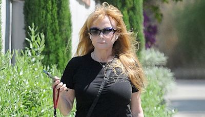 Risky Business star Rebecca De Mornay, 64, goes makeup free during rare outing