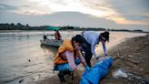 Rescuers rush to save pink river dolphins after 100 found dead in Brazil, experts say