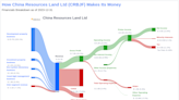 China Resources Land Ltd's Dividend Analysis