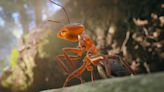 Empire of the Ants Preview: Explore a Weird (and Photorealistic) Insect Kingdom