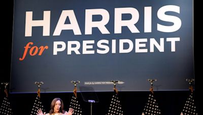 Harris says 'underdog' campaign will overcome Trump's 'wild lies'