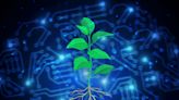 Green Revolution 2.0: Scientists Use AI To Create Carbon-Capturing Plants