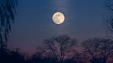 Metro Detroit to see Flower Moon on May 23: Meaning behind the name