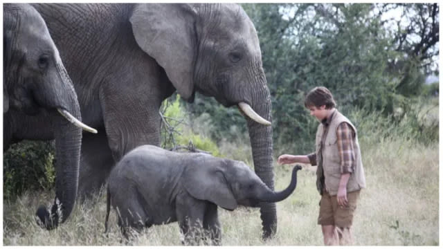 An Elephant’s Journey (2018) Streaming: Watch & Stream Online via Starz