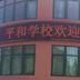 Shanghai Pinghe School