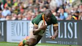 Who has scored the most tries for the Springboks?