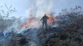 Siguen los incendios en Córdoba y Salta: un detenido y el temor de que del fuego avance sobre las casas