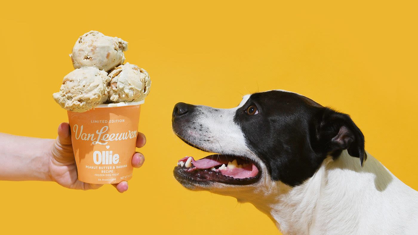 Sorry Humans, Van Leeuwen's New Ice Cream Is Exclusively For Dogs