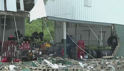 Una mujer muere por el mal tiempo en Florida: tormentas con vientos huracanados dejaron destrucción a su paso