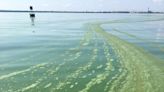 Decades-long phosphorus study of Lower Fox River shows why it's a big problem for Lake Michigan