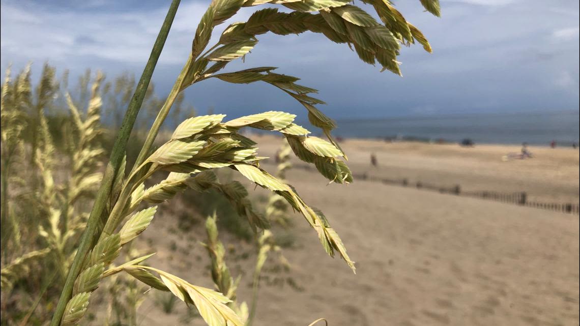 18-year-old drowning victim pulled from the ocean in Nags Head