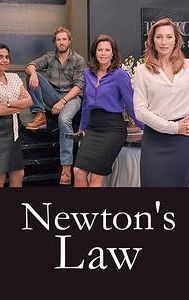 Newton's Law (TV series)