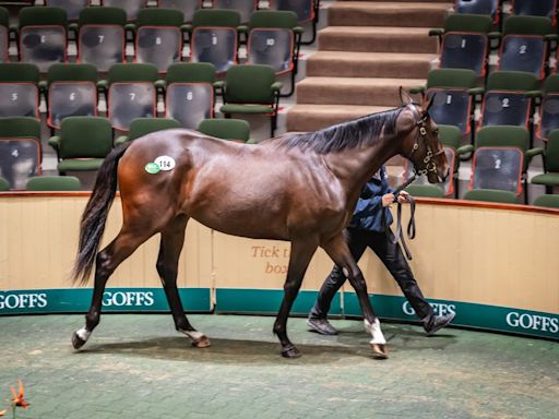 'The stuff dreams are made of' - €850,000 Blue Point half-sister to Bay City Roller tops Goffs Orby trade