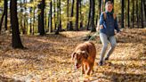 Try these three trainer-approved tips to get your dog to stop leash-pulling on walks