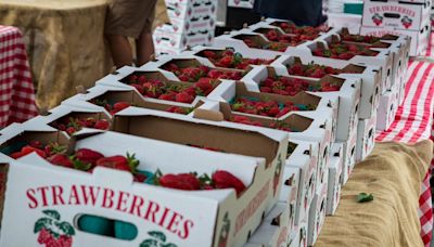 Middle Tennessee Strawberry Festival celebrates 83rd annual year